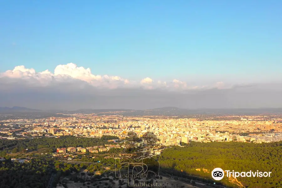 Mirador de Na Burguesa