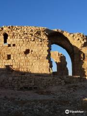 Shobak Castle