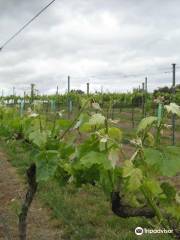 Kingsdale Wines