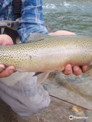 Headwaters Fly Fishing Guides