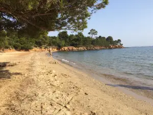 Plage du Pellegrin