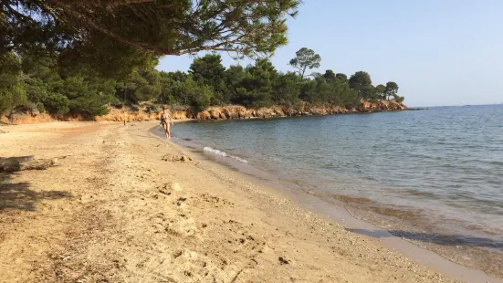 Plage du Pellegrin