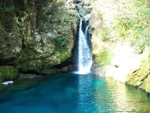 Nikobuchi