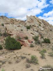 Fossil Discovery Trail