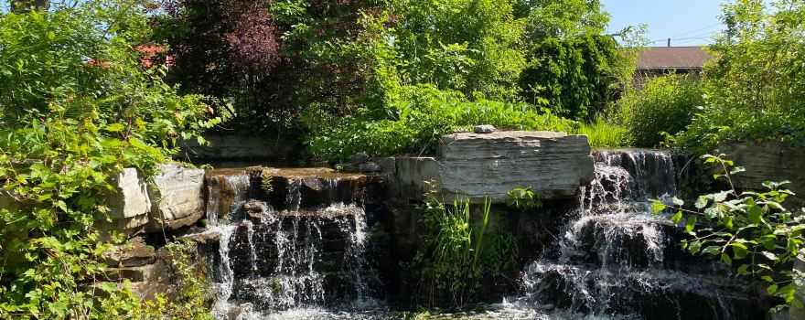 Saginaw Children's Zoo