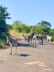 Hluhluwe - iMfolozi Park Wilderness Area