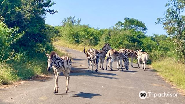 Hluhluwe - iMfolozi Park Wilderness Area
