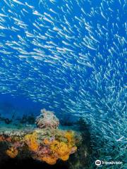 Key Largo Dive Center