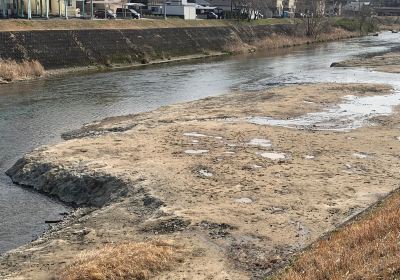 瑞浪化石野外學習地