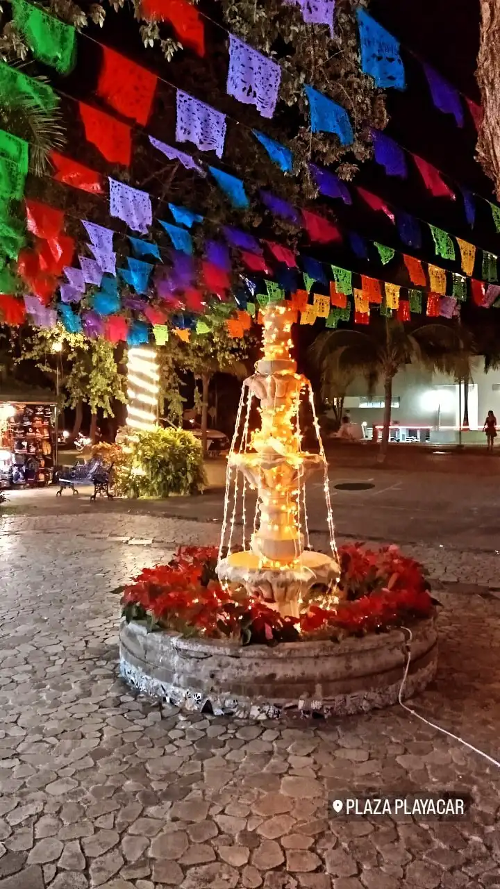 Hotels near playacar