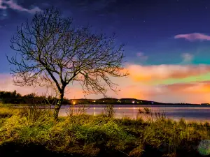 Lough Gara