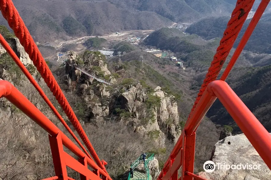 大芚山自然休養林