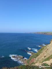 Dunmore East Coastal Walk