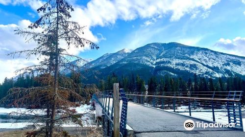 Bow River Trail