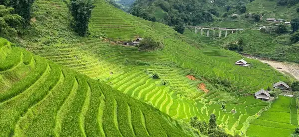 Hotels in Ta Van