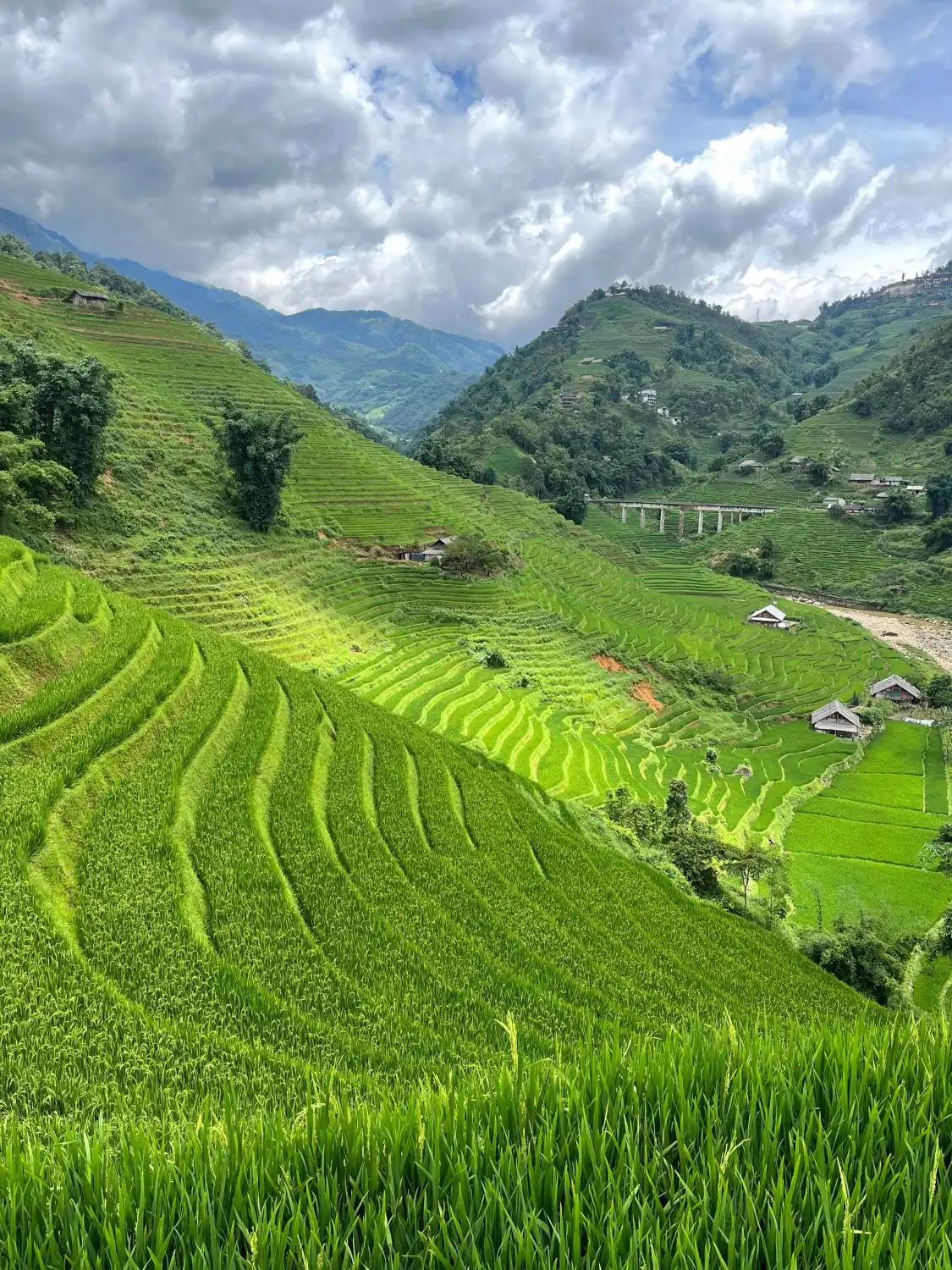 Hotels near Y Linh Ho