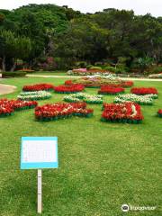 Jardín de plantas tropicales de la Ciudad de Miyakojima