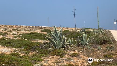 Fort of Santo António de Belixe