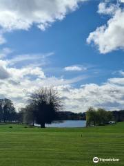 Baggeridge Country Park