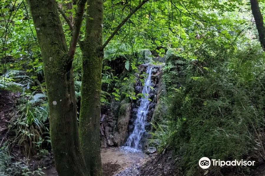 Ninesprings Country Park