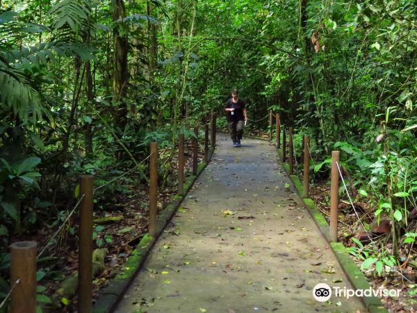 Carara National Park