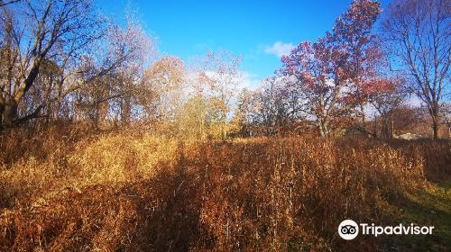 Carl G. Fenner Nature Center