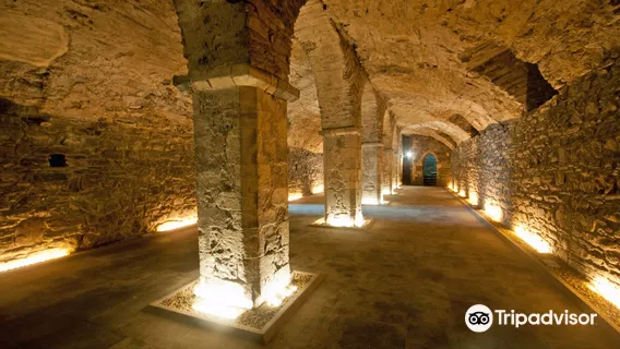 Waterford Treasures: Medieval Museum (Treasures of Medieval Waterford)