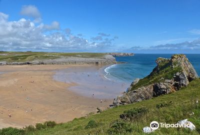 Broad Haven South Beach