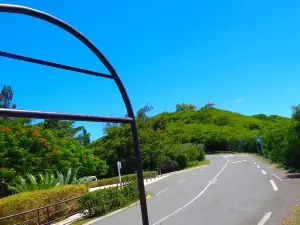 ミッシェル・コルバッソン自然動物公園