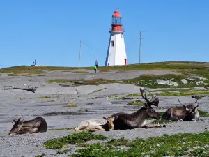 Port au Choix (Portutxua) National Historic Site