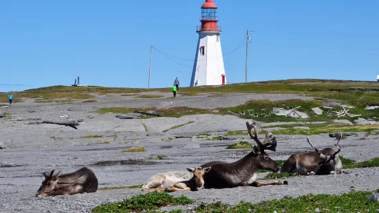 Port au Choix (Portutxua) National Historic Site