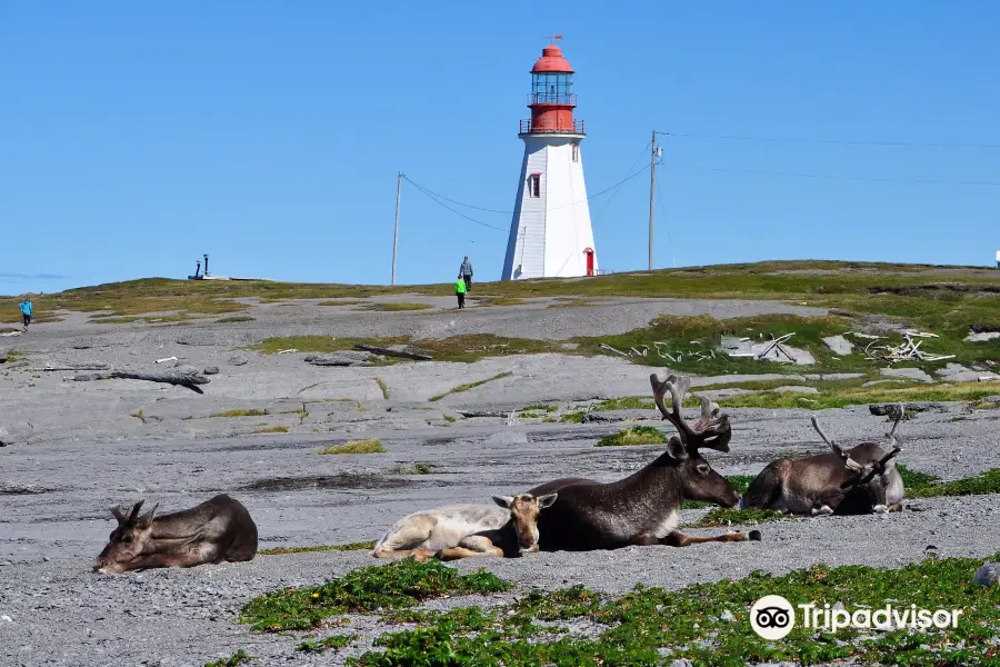 Lieu historique national de Port au Choix