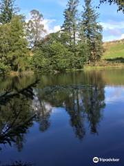 Moss Eccles Tarn