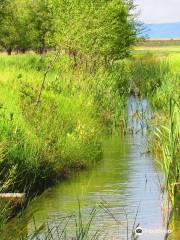 Maxwell National Wildlife Refuge