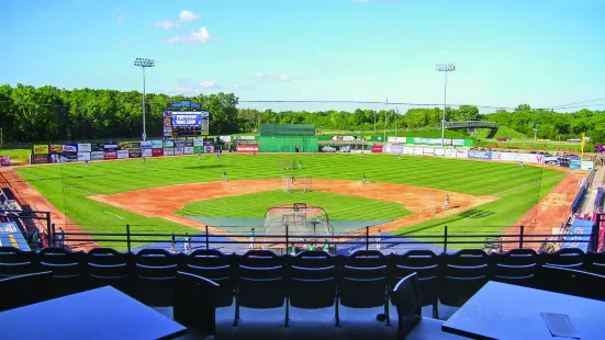 Neuroscience Group Field at Fox Cities Stadium