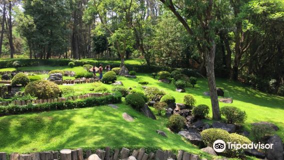 Los Colomos Forest