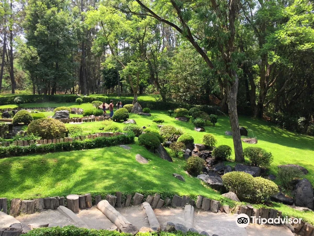 Los Colomos Forest