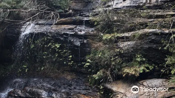 South Lawson Waterfall Circuit