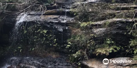 South Lawson Waterfall Circuit