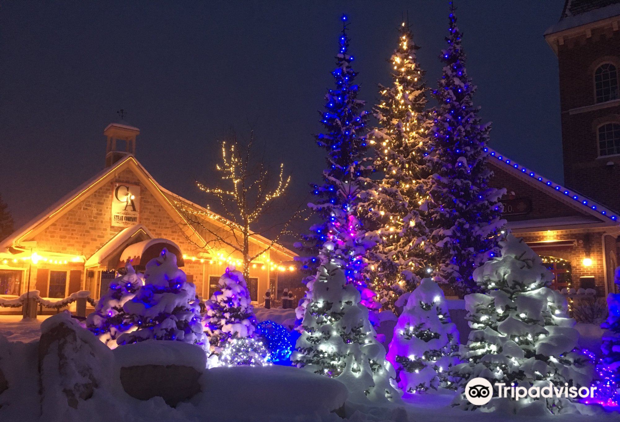 คู่มือเที่ยวบลูเมาน์เทน 2569: ที่เที่ยวห้ามพลาด อาหาร โรงแรม เส้นทางยอดนิยม (อัปเดตเดือนมกราคม)