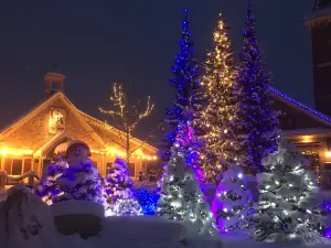 Blue Mountain Village