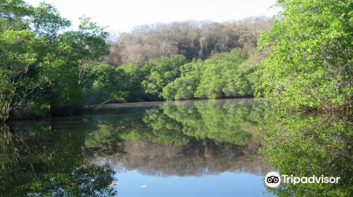 Laguna de Manialtepec