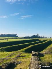 Richborough Roman Fort and Amphitheatre