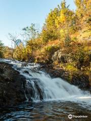 Rennies River Trail