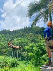 Yunque Ziplining