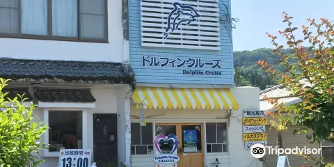 天草観光海豚遊船