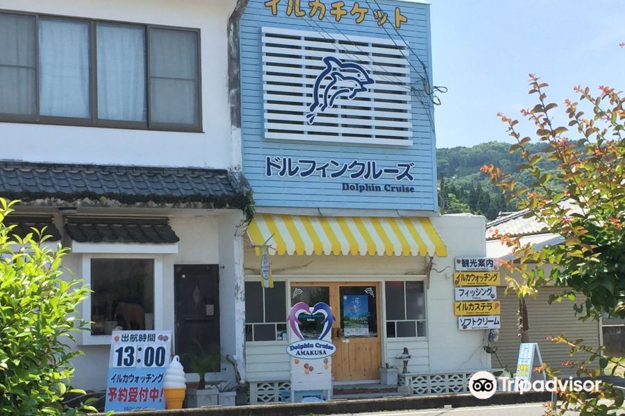 天草観光海豚遊船