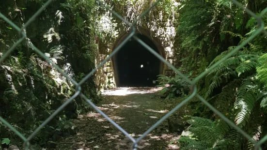 Mount Stuart Tunnel