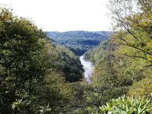 Bear Run Nature Reserve