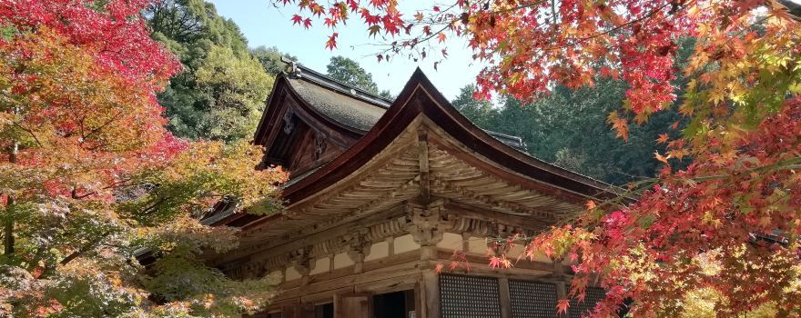 Kongorinji Hondo (Main Hall)